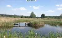 Szczegóły oferty