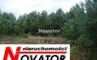 Szczegóły oferty