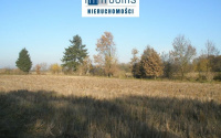 Szczegóły oferty