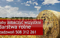 Szczegóły oferty
