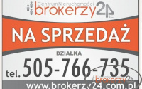 Szczegóły oferty
