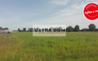 Szczegóły oferty