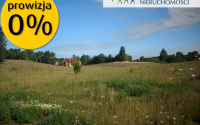 Szczegóły oferty