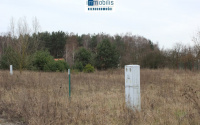 Szczegóły oferty