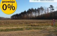 Szczegóły oferty
