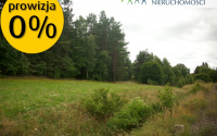 Szczegóły oferty