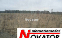 Szczegóły oferty