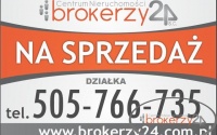 Szczegóły oferty