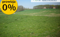 Szczegóły oferty