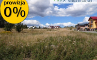 Szczegóły oferty