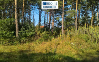 Szczegóły oferty