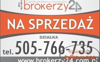 Szczegóły oferty