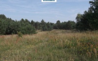 Szczegóły oferty
