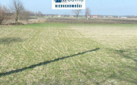 Szczegóły oferty