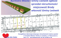 Szczegóły oferty