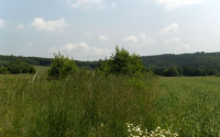 Szczegóły oferty