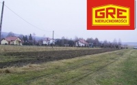 Szczegóły oferty