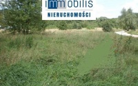 Szczegóły oferty