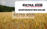 Szczegóły oferty