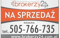 Szczegóły oferty
