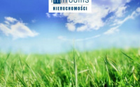 Szczegóły oferty
