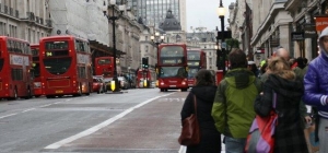 bus bus