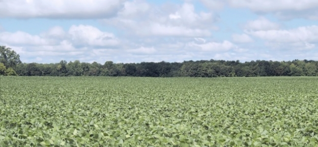 KSG Agro KSG Agro