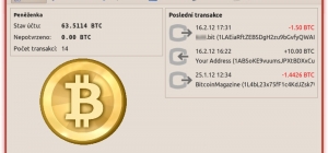 bitcoin bitcoin