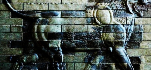 lion lion