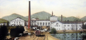 grupa zywiec zywiec