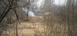 smolensk smolensk