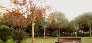 park park