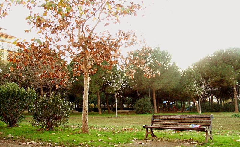 park